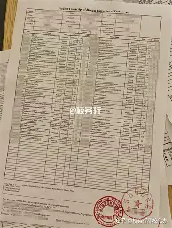 德约科维奇的热火将会排东部结果意外的简单介绍